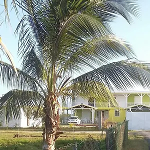 Soleil De Surgy Sainte-Anne (Grande-Terre)